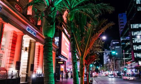Queen-Street-Lights-1-photo-credit-Sacha-Stejko.jpg