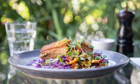Pork and salad on plate