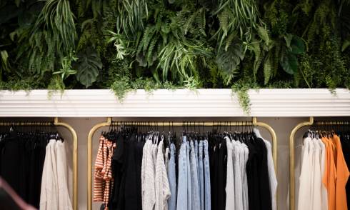 Foliage above garments on racks