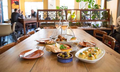tapas and wine