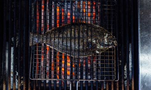 Fish on a grill