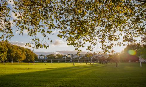 Park during sunset