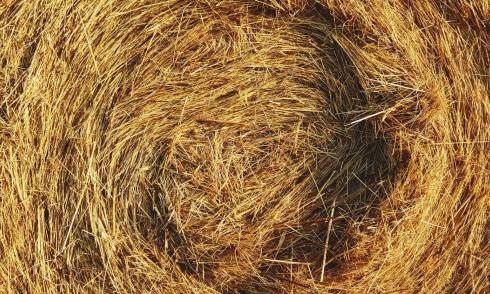 Straw