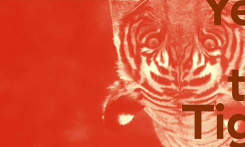 Year of the tiger2