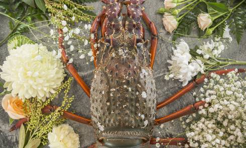 Crayfish Season at Federal Street