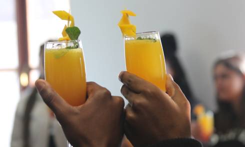 mimosa