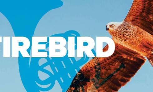 Firebird.JPG 