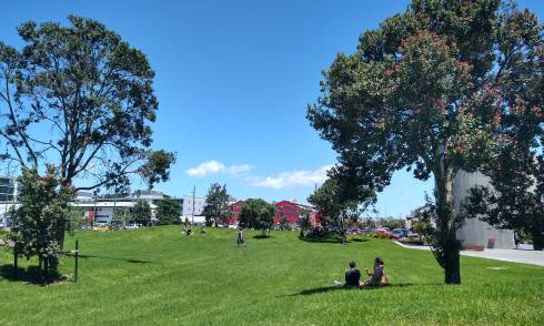 Amey Daldy Park, a grassy green park with pohutukawa trees and people sitting on the ground eating lunch.
