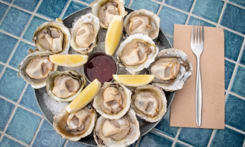 Crab-Shack-Bluff-Oysters