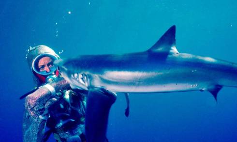 SkyCity-Theatre-Playing-with-Sharks.jpg 