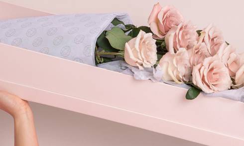 Blush Flowers