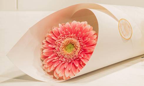 Britomart-Florist.jpg