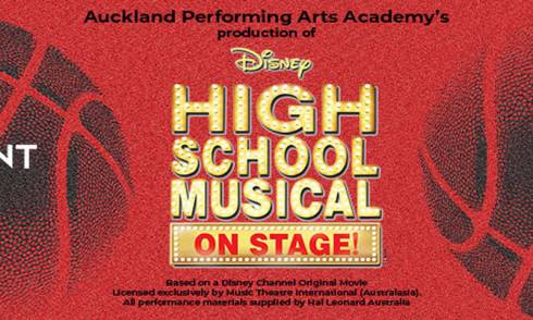 Disney-s high school musical- website-banner