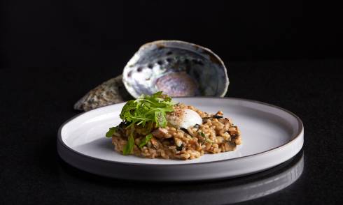 Paua Risotto