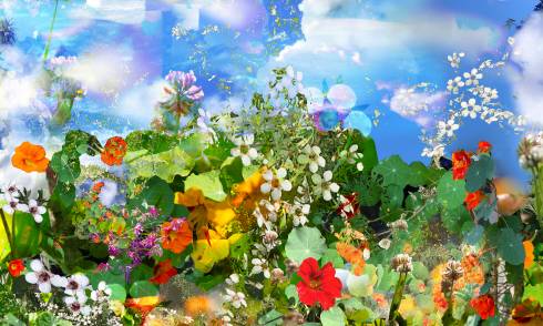 Nature Wins by Deborah Crowe