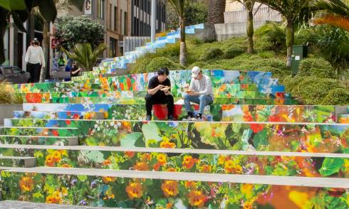Freyberg Steps