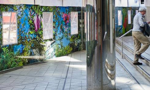 Aotea-Art-Walk-3.jpg