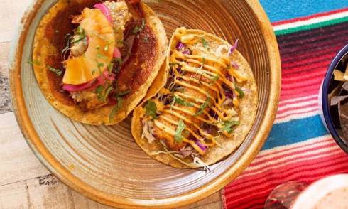 Frida Cocina Taco Tuesday 