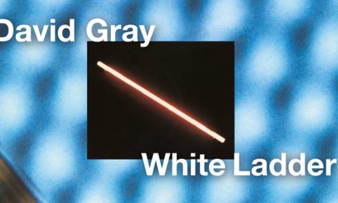David Gray at Spark Arena 