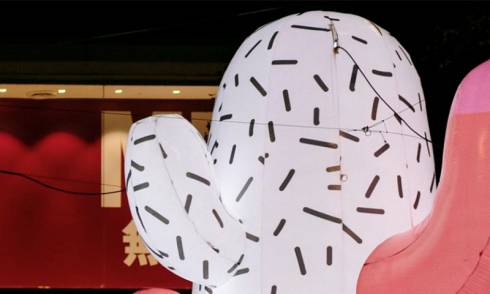 City-Of-Colour-Cactus-Garden- AMIGO & AMIGO.jpg 