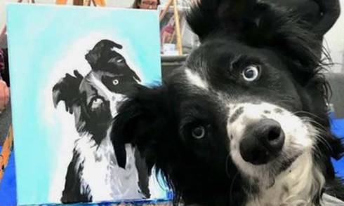 Dr-rudis-paint-your-pet-April.jpg
