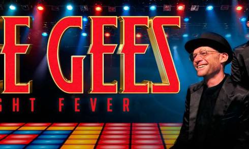 The Bee Gees Night Fever 