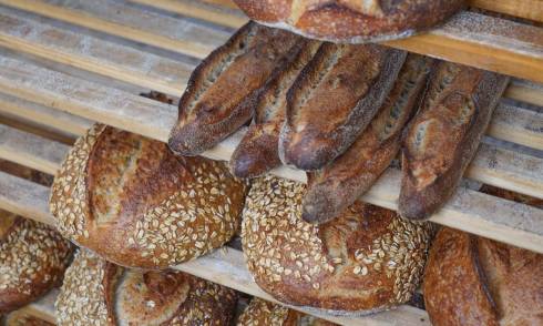 Daily Bread 