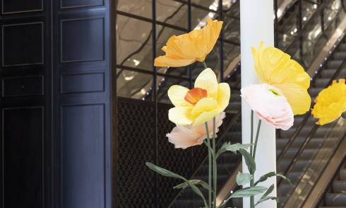 Let your senses bloom