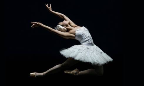 Aotea-Centre-Swan-Lake