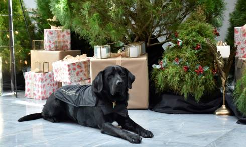 Christmas On Your Waterfront - supplied