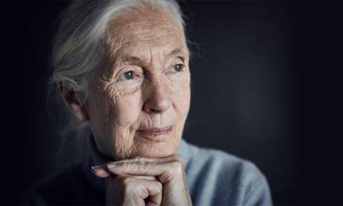 Dr Jane Goodall
