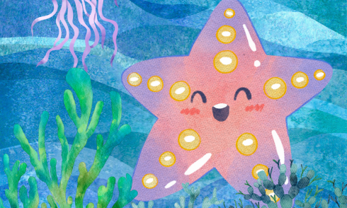 NZ-Maritime-Museum-Star