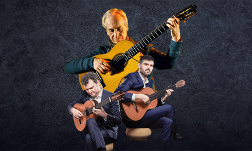 Guitarra banner image 