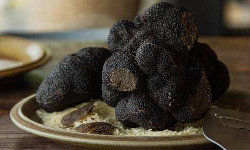 Truffle season in the city centre 