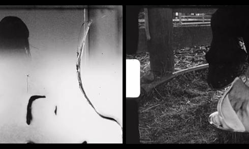 Art Week 2024 - Gus Fisher - Dayle_Palfreyman
