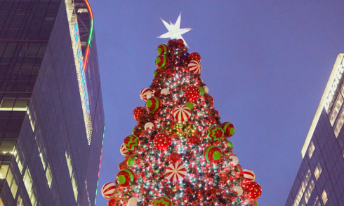Tree banner xmas24 1