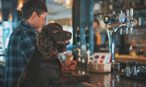 Puppy Pub Quiz