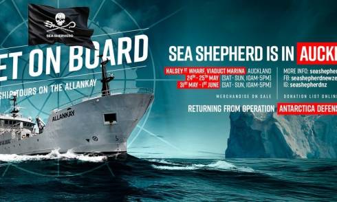 Sea Shepherd