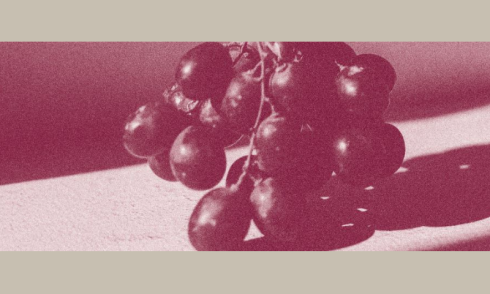 Esther crushed grapes