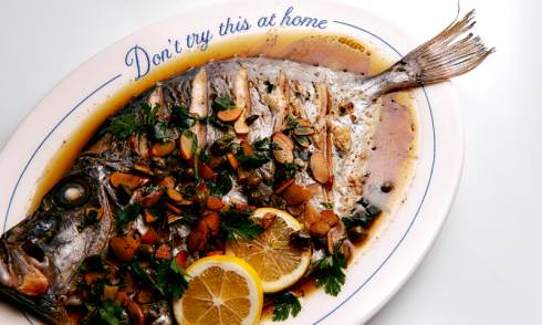 RM25 Banner Image Fish
