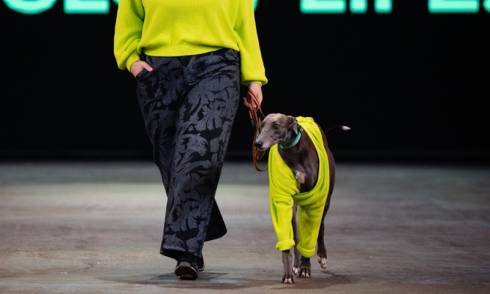 Greyhound NZFW 2025