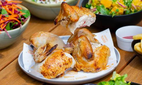 Bird on a Wire Elliot Stables