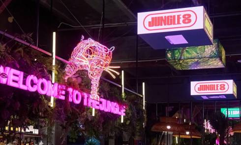 JUNGLE 8 