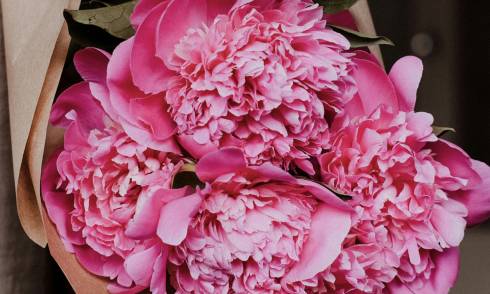 Mother's day gift guide