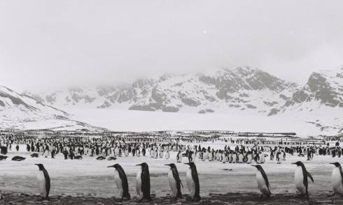 Into Ocean & Ice: An evening with the artists