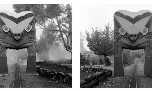 Mark Adams: A Survey | He Kohinga Whakaahua