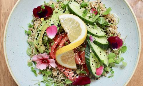 Must-Try Lunch Offers in August - Pollen