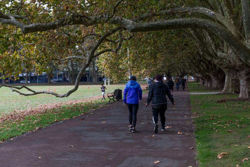 Park go-ers strolling