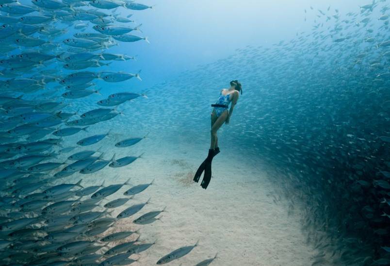 Ocean Film Fest 2