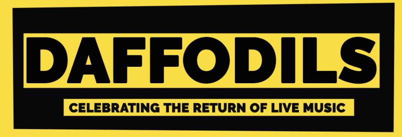 Daffodils